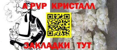 круглые Кингисепп