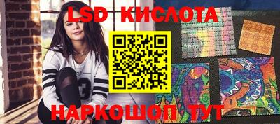 СК Кимры