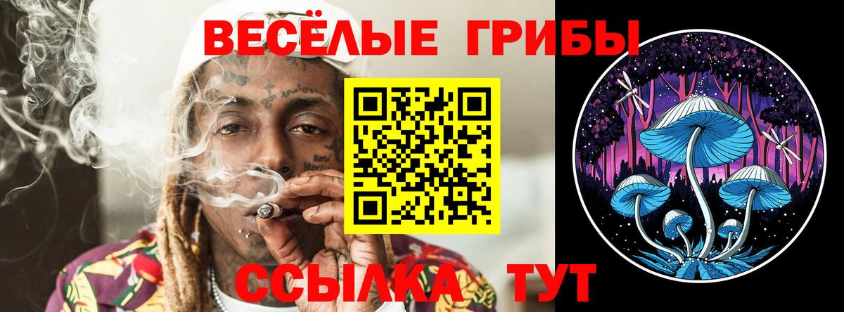 Псилоцибиновые грибы Magic Shrooms  Вход с VPN  Югорск 