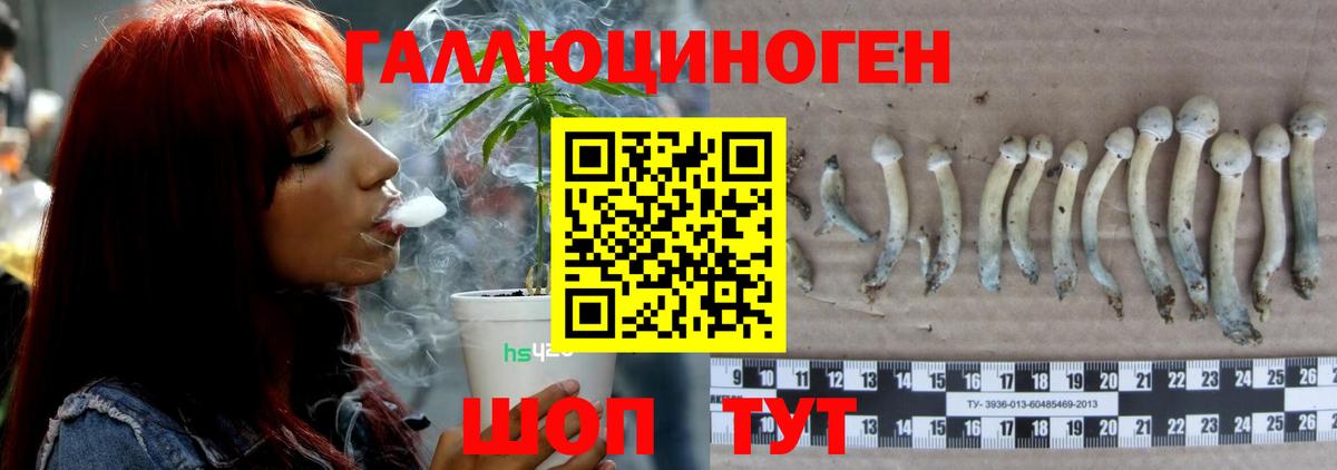 Галлюциногенные грибы мухоморы Югорск